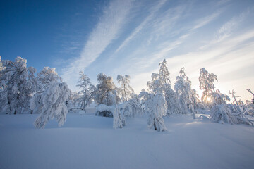 Winter landscape in Pallas Yllastunturi National Park, Lapland, Finland