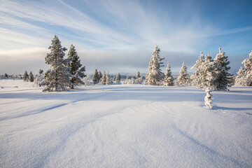 Winter landscape in Pallas Yllastunturi National Park, Lapland, Finland