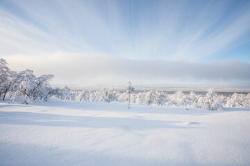 Winter landscape in Pallas Yllastunturi National Park, Lapland, Finland