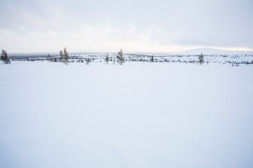 Fototapeta premium Winter landscape in Pallas Yllastunturi National Park, Lapland, Finland