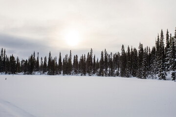 Winter landscape in Pallas Yllastunturi National Park, Lapland, Finland