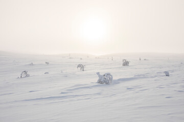 Winter landscape in Pallas Yllastunturi National Park, Lapland, Finland