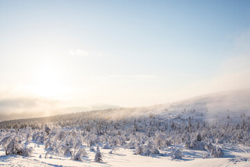 Winter landscape in Pallas Yllastunturi National Park, Lapland, Finland
