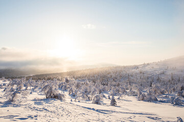 Winter landscape in Pallas Yllastunturi National Park, Lapland, Finland