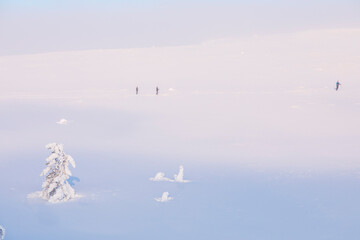Winter landscape in Pallas Yllastunturi National Park, Lapland, Finland