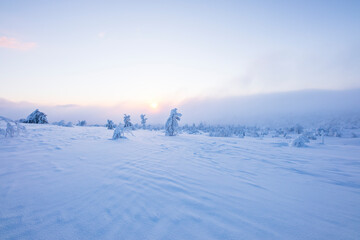 Winter landscape in Pallas Yllastunturi National Park, Lapland, Finland