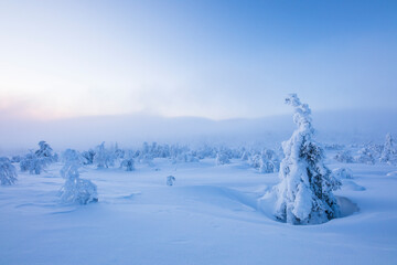 Winter landscape in Pallas Yllastunturi National Park, Lapland, Finland