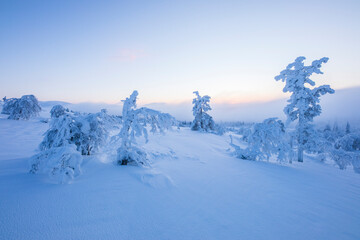 Winter landscape in Pallas Yllastunturi National Park, Lapland, Finland