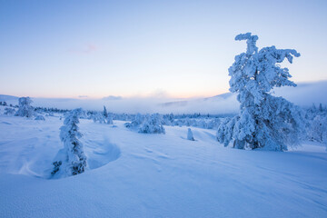 Winter landscape in Pallas Yllastunturi National Park, Lapland, Finland