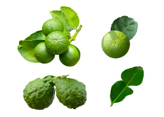 set of lime and Kaffir lime isolate on white background.