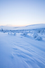 Winter landscape in Pallas Yllastunturi National Park, Lapland, Finland