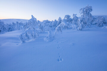 Winter landscape in Pallas Yllastunturi National Park, Lapland, Finland