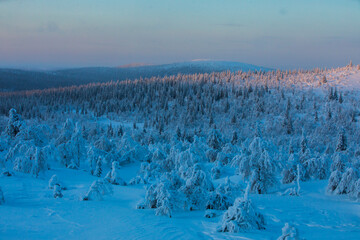 Winter sunrise in Pallas Yllastunturi National Park, Lapland, Finland
