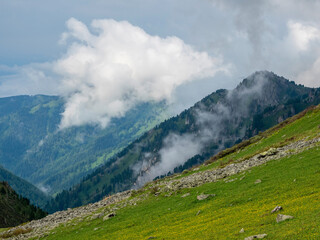 landscape with diagonal green mountainside