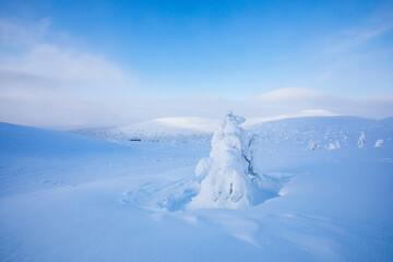 Winter landscape in Pallas Yllastunturi National Park, Lapland, Finland