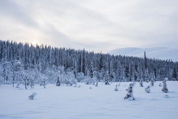 Winter landscape in Pallas Yllastunturi National Park, Lapland, Finland