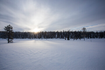 Winter landscape in Pallas Yllastunturi National Park, Lapland, Finland