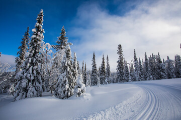 Winter landscape in Pallas Yllastunturi National Park, Lapland, Finland