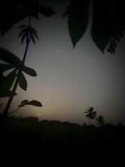 A serene evening view of the moon rising over a peaceful landscape, framed by tree leaves and...