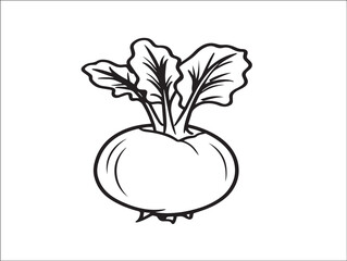 Healthy Kohlrabi Vegetable Flat Line Design