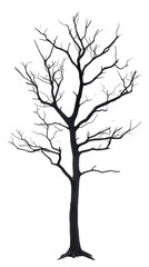 Obraz premium 冬のシルエット