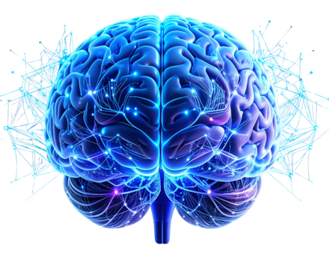 Futuristic Glowing Brain with Circuit Lines and Data Nodes, Front View, Isolated on Transparent Background”