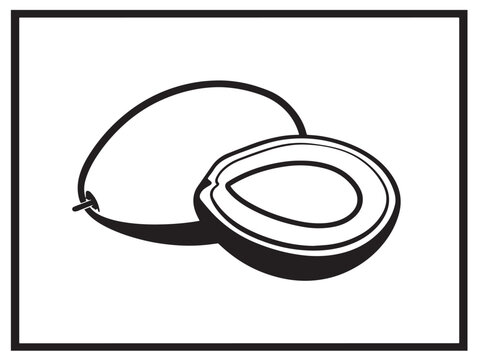 Fresh Chilean Peumo Fruit Vector Illustration