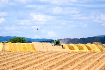 Scenic view of rural landscape with harvester harvesting grain field on a sunny summer day. Photo...