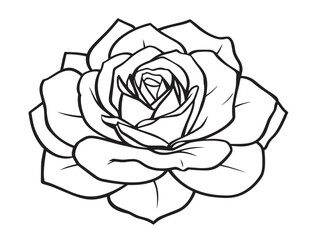 Elegant Rose Flower Outline in Soft Line Art Style