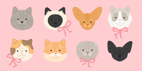 Vector illustration of сartoon cats breeds set. Cute faces of abissian, persian, siamese, scottish fold, golden shader, Exotic Shorthair with pink ribbons. Flat style images. Pets with bows.