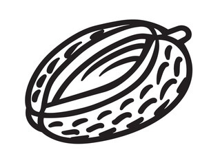 Unique Tropical Salak Fruit in Clean Vector Illustration