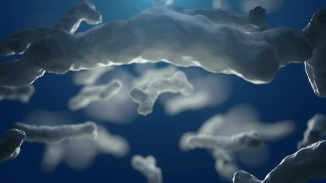medical education and training silkworm bacteria