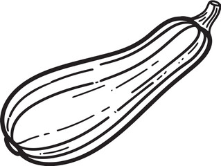 Hand-Drawn Sponge Gourd Line Icon for Organic Look