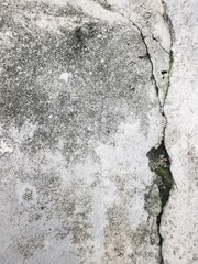 Concrete surface with a prominent deep crack and aged texture, ideal for background or construction concept.