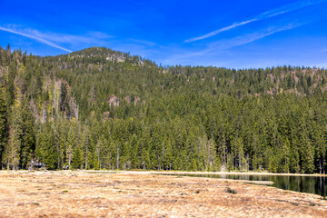 Grosser Arbersee bei Bodenmais, Bayerischer Wald