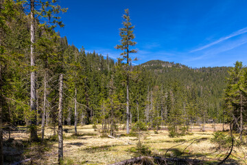 Grosser Arbersee bei Bodenmais, Bayerischer Wald