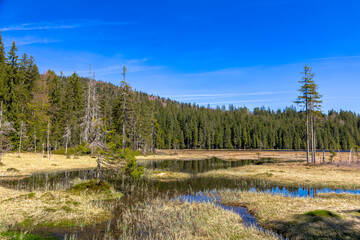 Grosser Arbersee bei Bodenmais, Bayerischer Wald