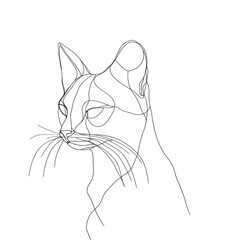 Obraz premium Line drawing of a cat's head in minimalist style, isolated on transparent background