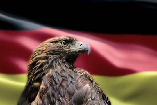 eagle with flag