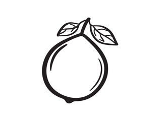 Organic Ziziphus Fruit Icon in Beautiful Vector Illustration