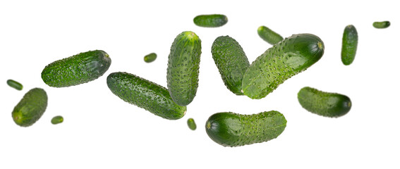 Gherkins flying in space forming a loop or spiral shape. Isolated on white