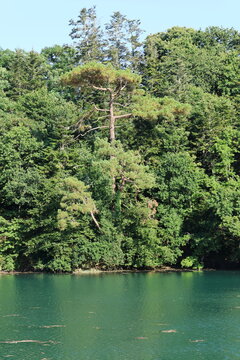 Ria de Merrien, commune de Mo&euml;lan-sur-Mer (Bretagne, Finist&egrave;re sud, France)
