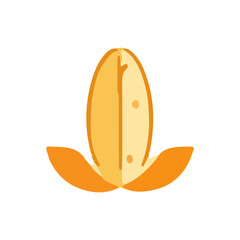 Stylized illustration of a sprouting seed or kernel, vibrant orange hues.