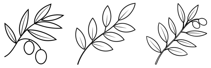 Olive Branch Coloring Book Page - Outline Design