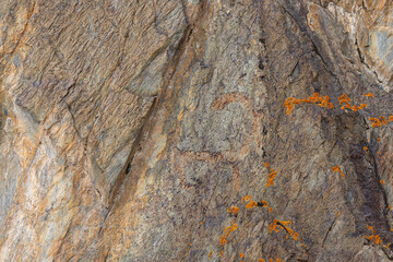Rough textured sedimentary rock with vibrant orange lichen and triangular structure