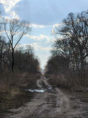 Spring landscape. Autumn road after rain. Puddles on the road