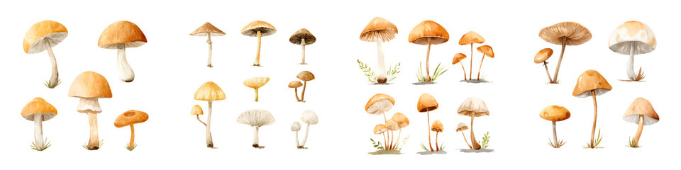 Watercolor Mushroom Collection: Forest Fungi Set on White