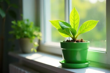 A vibrant green plant thrives in a simple green pot, basking in sunlight on a windowsill , fresh, pot