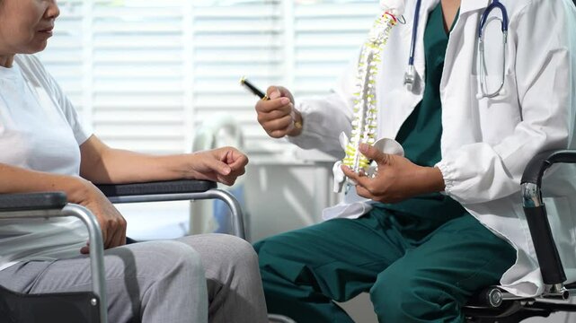 Doctor explains spine surgery using anatomical model, explaining symptoms and treatment to patients. - Powered by Adobe