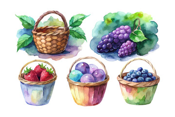 set of watercolor Mulberry Basket vector illustration isolated on white background